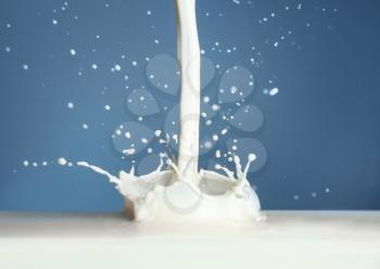 Splash of milk on color background�