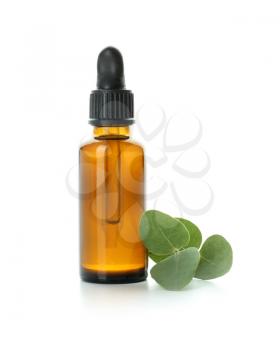 Bottle of eucalyptus essential oil on white background�