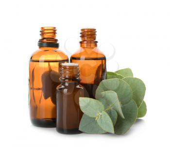 Bottles of eucalyptus essential oil on white background�