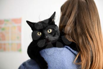 Cute black cat with owner at home�