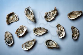 Fresh raw oysters on grey background�
