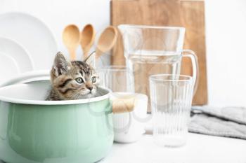 Cute funny kitten in pot on kitchen table�