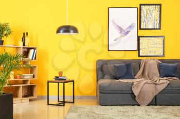 Stylish interior of living room near color wall�
