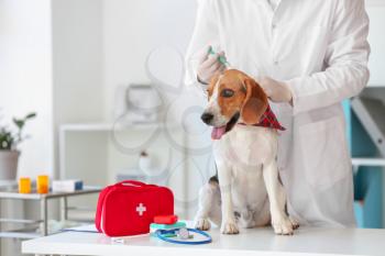 Veterinarian vaccinating cute dog in clinic�