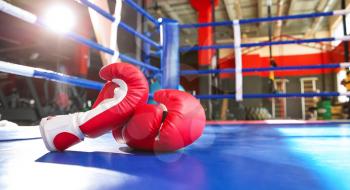 Boxing gloves on ring in gym�