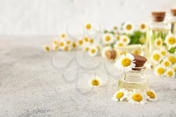 Bottle of essential oil with chamomile flowers on grey table�