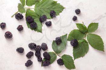 Tasty blackberries on light background�