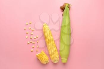 Fresh corn cobs on color background�