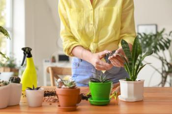 Young woman taking care for houseplants at home�