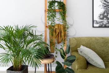 Stylish interior of room with green houseplants�