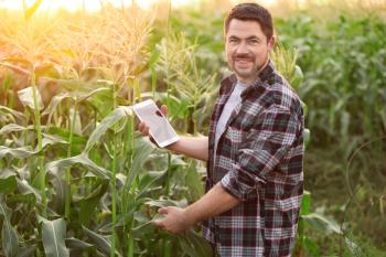 Male agricultural engineer working in field�