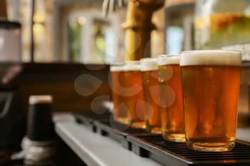 Glasses of fresh draft beer on bar counter�
