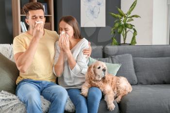 Young couple suffering from pet allergy at home�