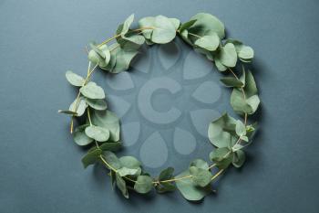 Eucalyptus branches with fresh leaves on color background�