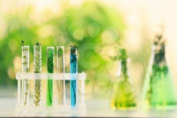 Test tubes with plants and liquids in holder on table�