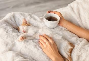 Woman with cute little kitten drinking tea at home�