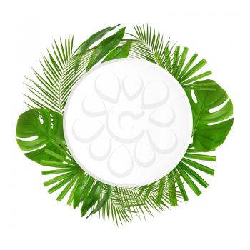 Frame made of green tropical leaves on white background�