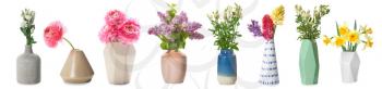 Different vases with beautiful flowers on white background�