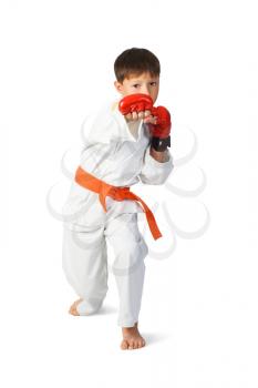 Royalty Free Photo of a Young Boy Doing Martial Arts
