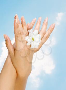 image of beautiful female hands with flower