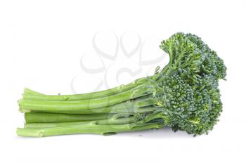 sprouts baby broccoli cabbage isolated on White Background