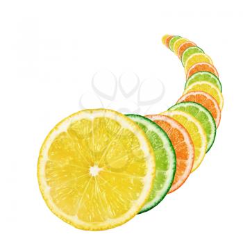 Slices of fresh citrus fruit in the form of a cornucopia on white background