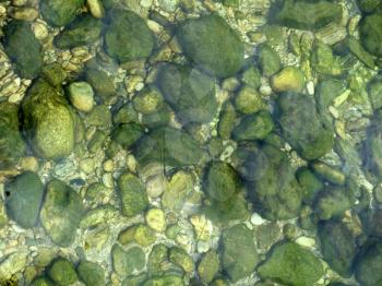 Royalty Free Photo of Stones Covered in Seaweed Under Water