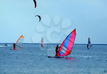 Royalty Free Photo of Windsurfers and Kitesurfers