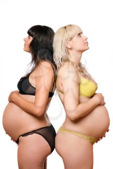Royalty Free Photo of Two Pregnant Women