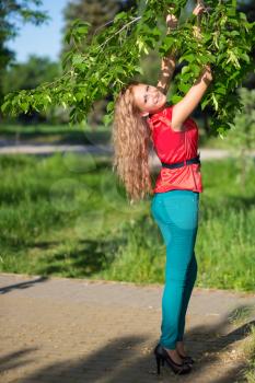 Young smiling blond woman touching branches of the tree