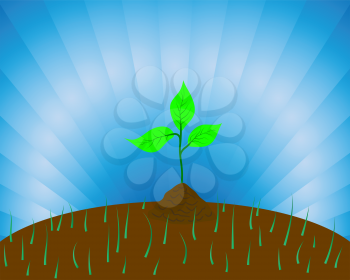 Royalty Free Clipart Image of a Sprout