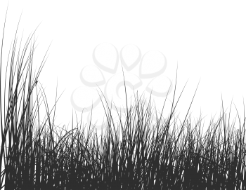Royalty Free Clipart Image of a Grass Illustration