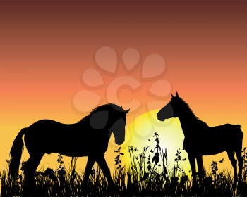 Royalty Free Clipart Image of Horses at Sunset 