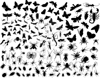Royalty Free Clipart Image of Insect Silhouettes