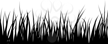 Royalty Free Clipart Image of a Grass Illustration
