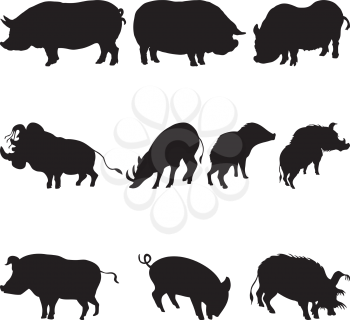 Collection of pigs and boars silhouettes. Vector illustration.