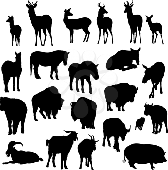 Set of deer, horses, goats, yaks, buffalos and pig   silhouettes. Vector illustration.