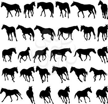 Big vector collection of different horses silhouettes