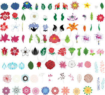 Big collection of flowers. Fully editable vector illustration.
