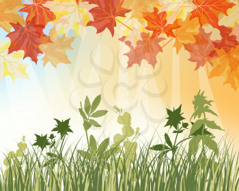 Meadow background with maple leaves. All objects are separated. Vector illustration with transparency. Eps 10.