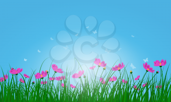 Meadow color background with butterflies and sun. All objects are separated. Vector illustration with transparency. Eps 10.