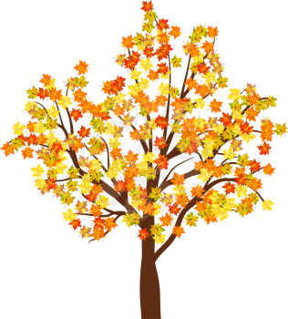 Autumn maple tree. EPS 10  Vector illustration without transparency.