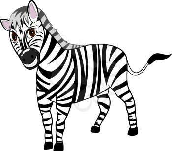 Funny Cartoon Character Zebra With Wide Smile Over White Background.  Hand Drawn in Perspective Elegant Cute Design. Tropical and Zoo  Fauna. Vector illustration. 