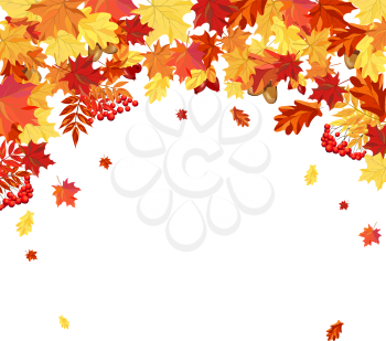 Autumn  Frame With Maple, Rowan, Oak and Dog Rose Leaves and Berries Over White Background. Elegant Design with Text Space and Ideal Balanced Colors. Vector Illustration.