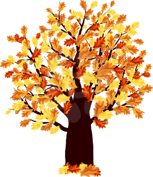 Autumn Oak Tree With Color Leaves on White Background. Elegant Design with Ideal Balanced Colors. Vector Illustration.
