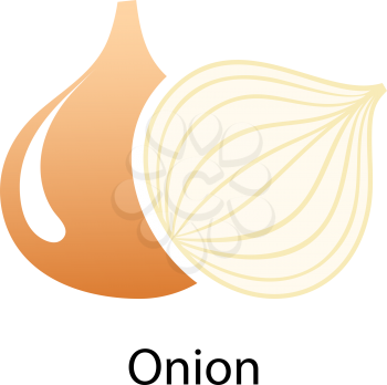 Onion icon on white background. Vector illustration.
