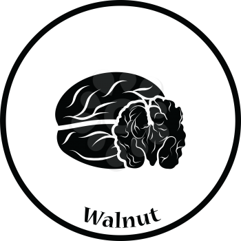 Walnut icon. Thin circle design. Vector illustration.