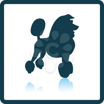 Poodle icon. Shadow reflection design. Vector illustration.