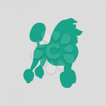 Poodle icon. Gray background with green. Vector illustration.