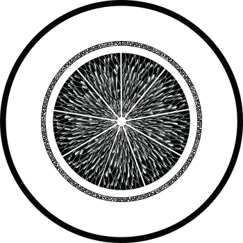 Icon of Orange. Thin circle design. Vector illustration.
